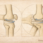 Chatgpt Image 22 Dic 2025 12 15 41 P.m 150x150